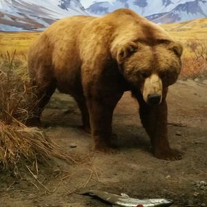 Meet your Posher, Stephen